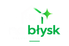 Na Błysk logo